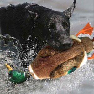 AFP Classic Hunter Mallard