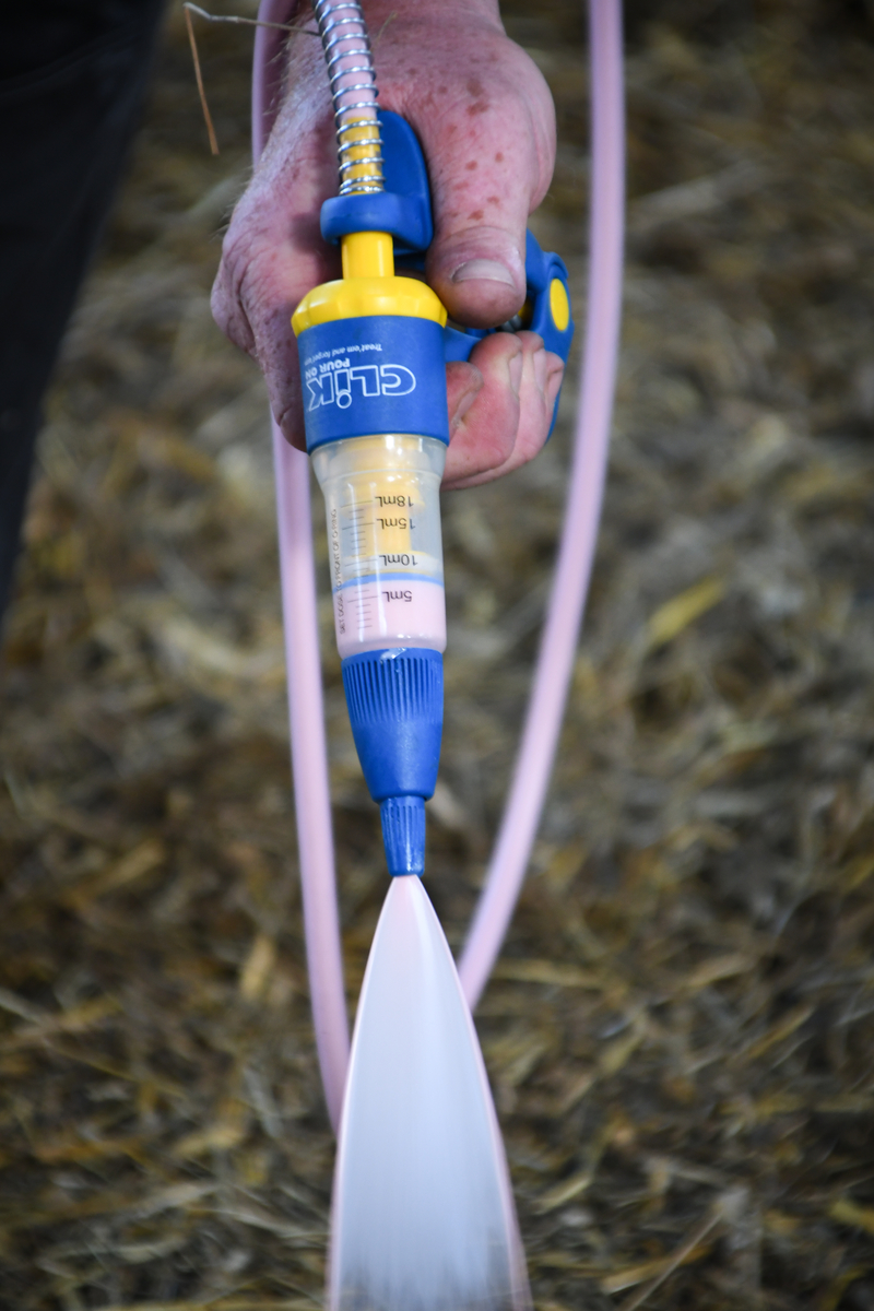 Clik 5% Pour-On REG NL URA - Afbeelding 4