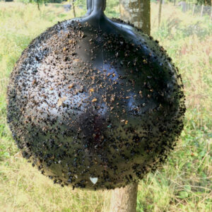 Horse Fly Trap Ball 45 cm