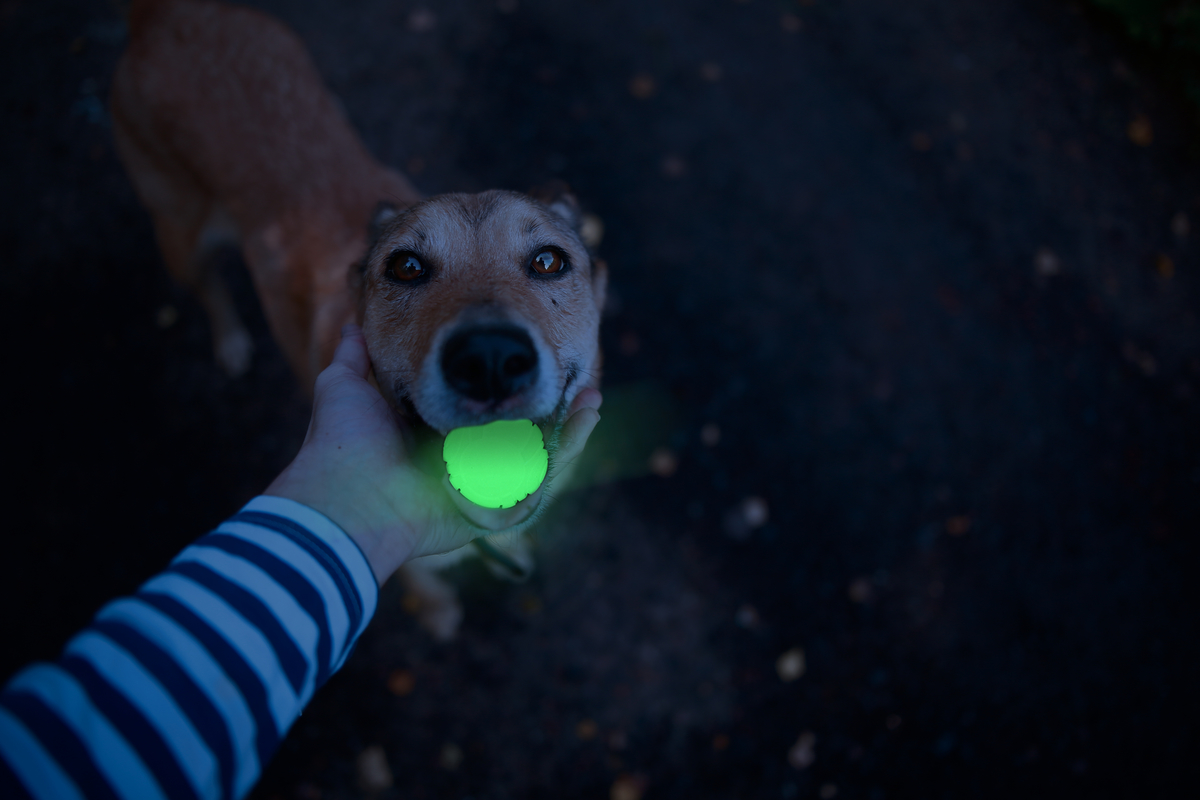 2 Glow Cracking & tracking bone - Afbeelding 3