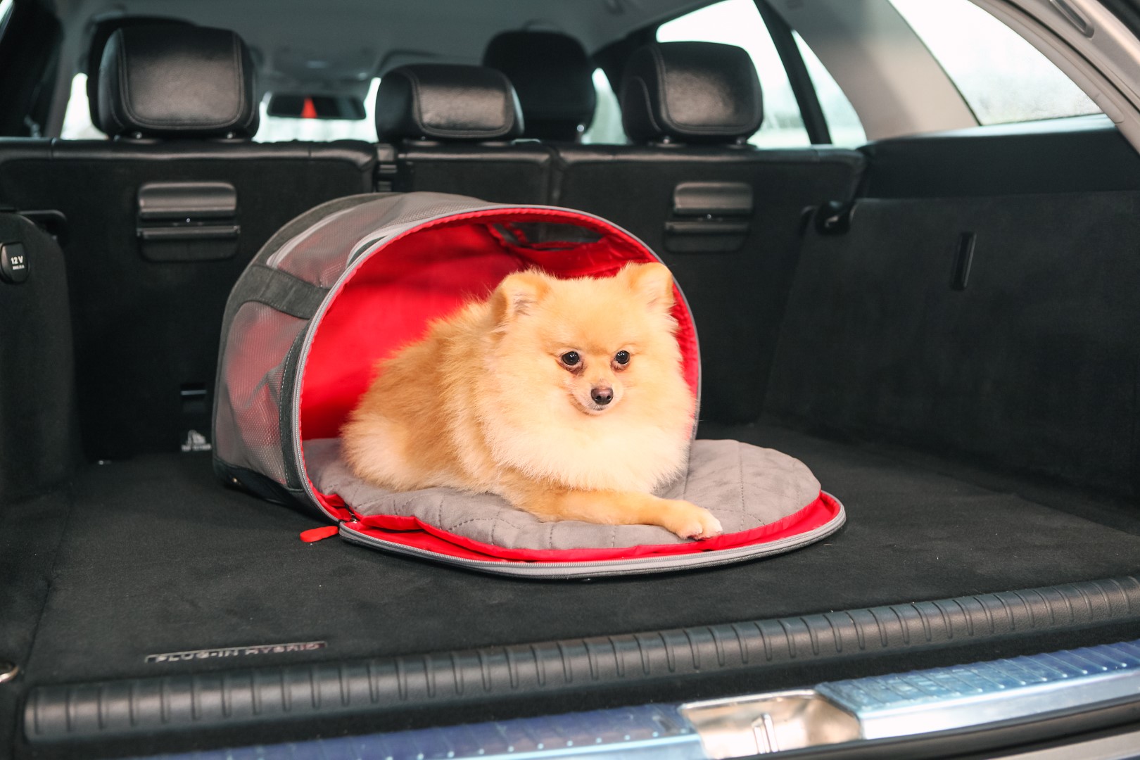 KONG 2-In-1 Pet Carrier and Travel Mat - Afbeelding 3