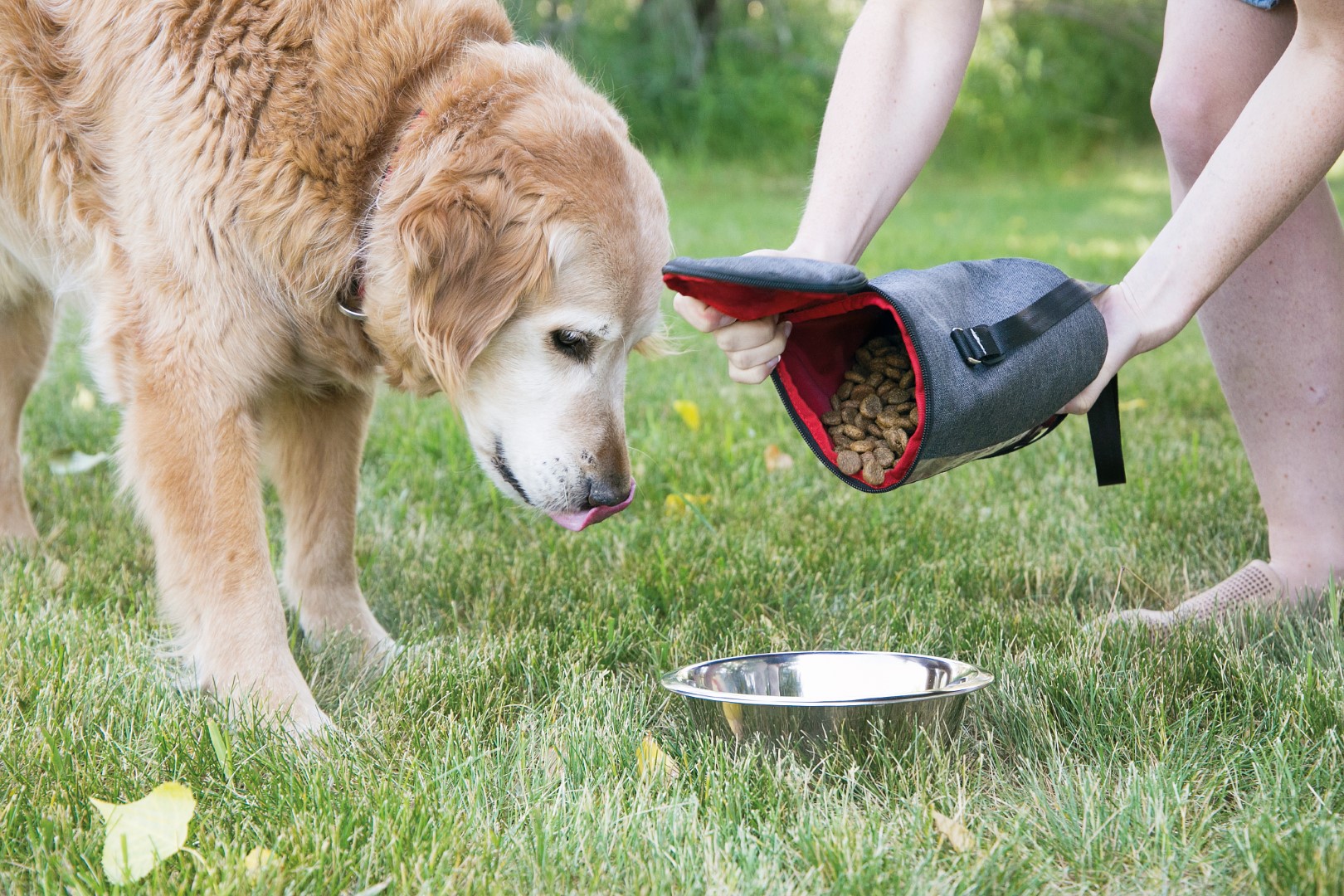 KONG Kibble Storage Bag - Afbeelding 3