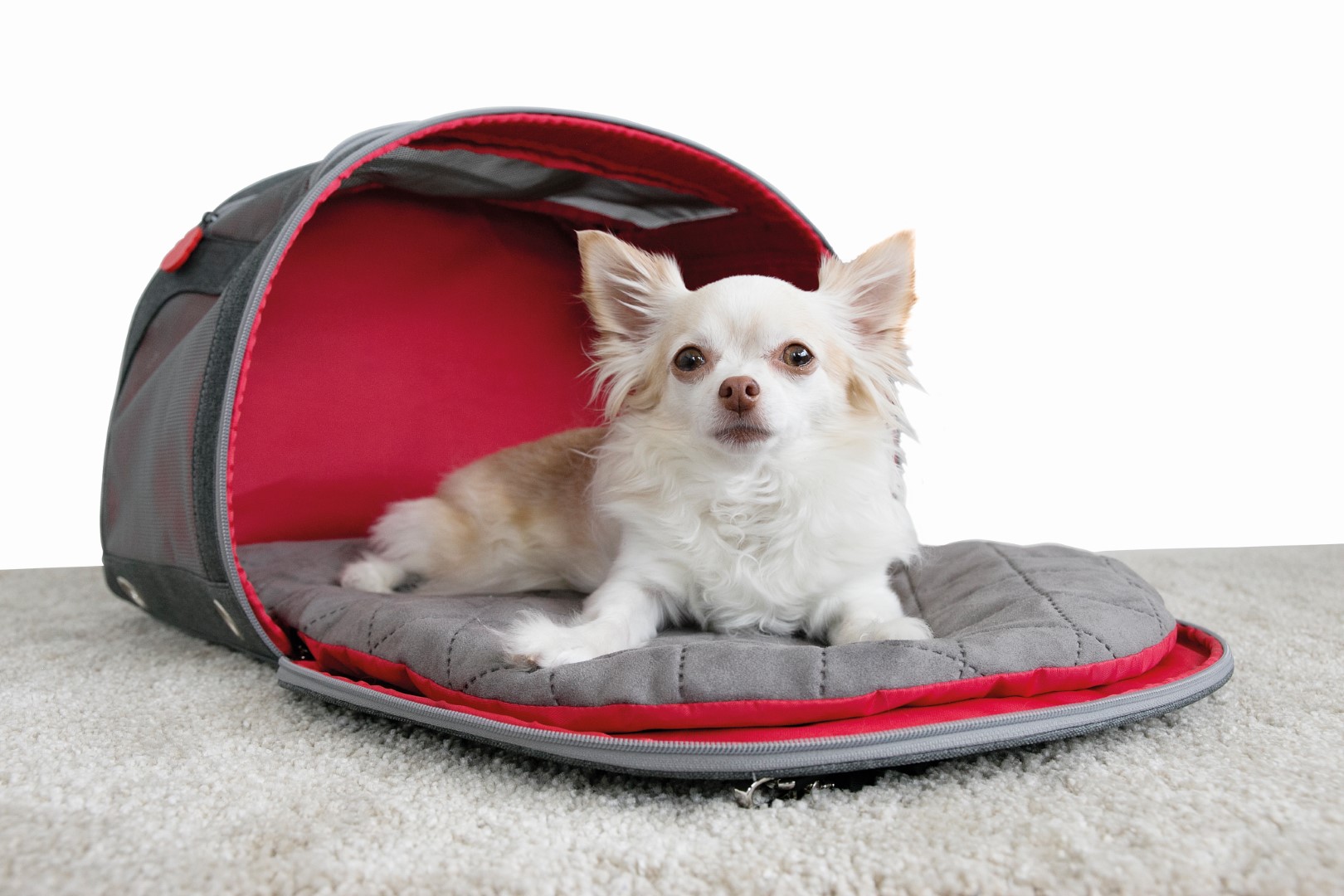 KONG 2-In-1 Pet Carrier and Travel Mat - Afbeelding 4