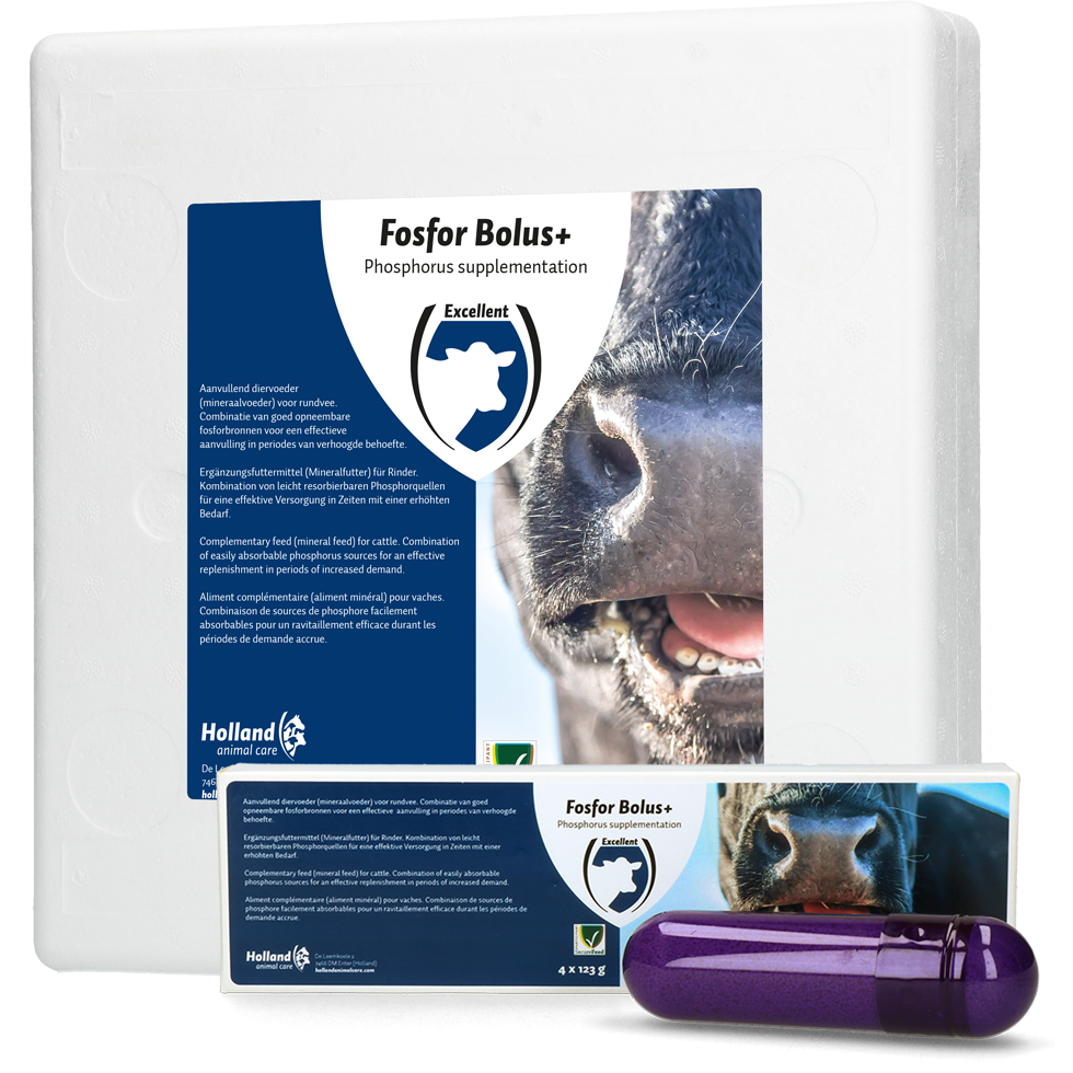 Fosfor Bolus+