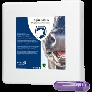 Fosfor Bolus+