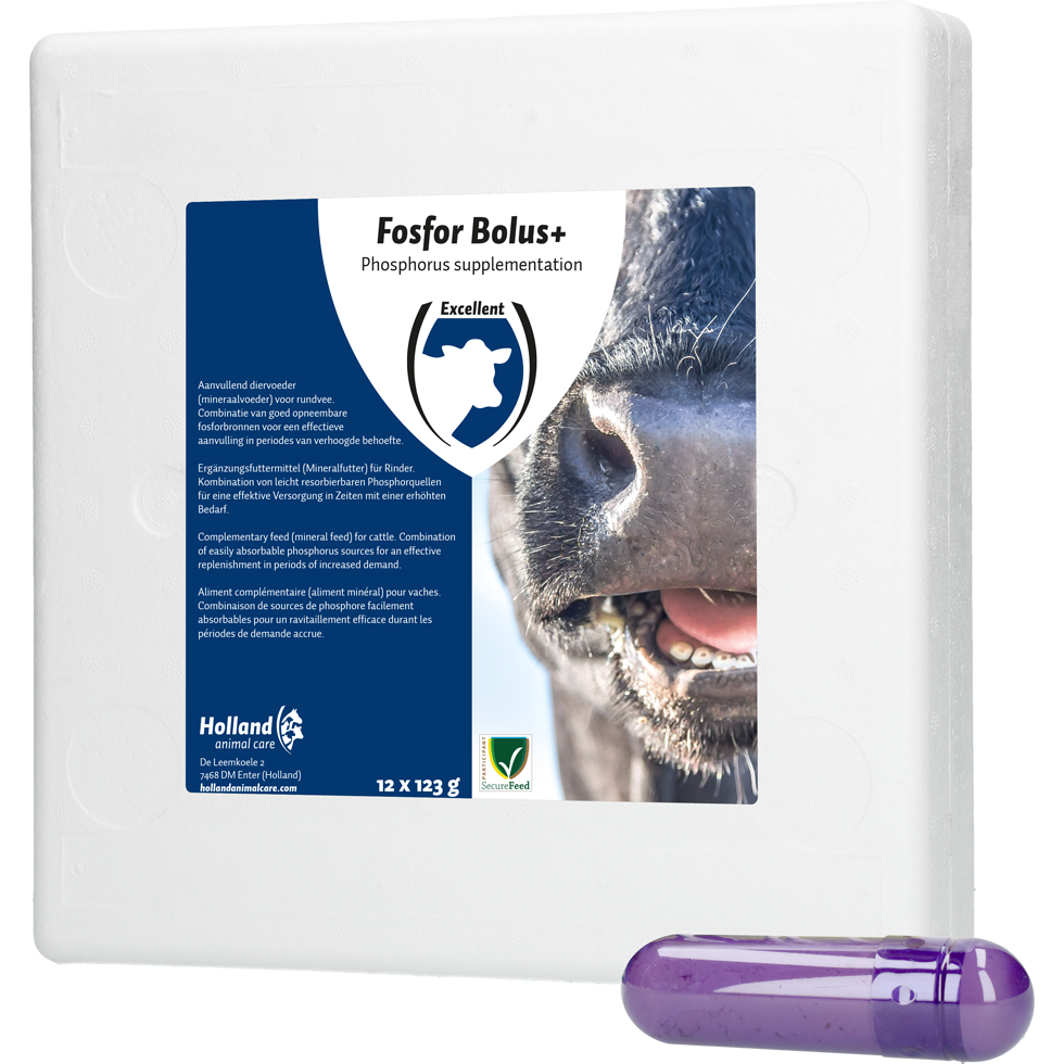 Fosfor Bolus+