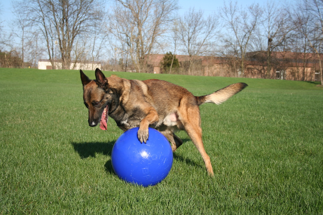 Jolly Ball Push-n-Play 15cm blauw - Afbeelding 2