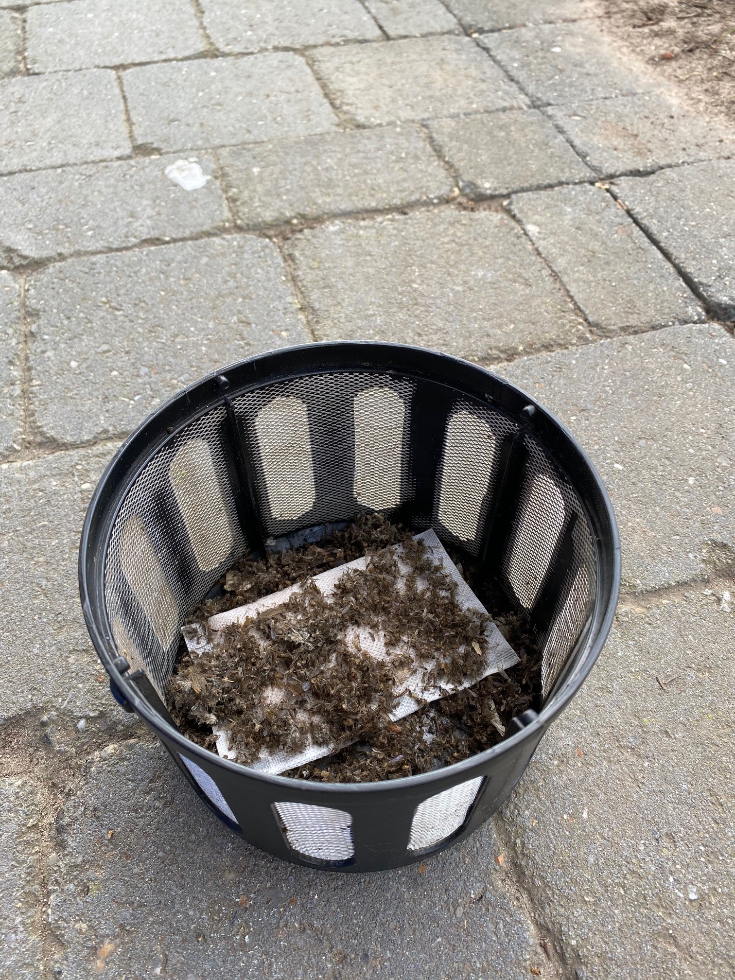 Knock Off Muggenlokstof - Afbeelding 4