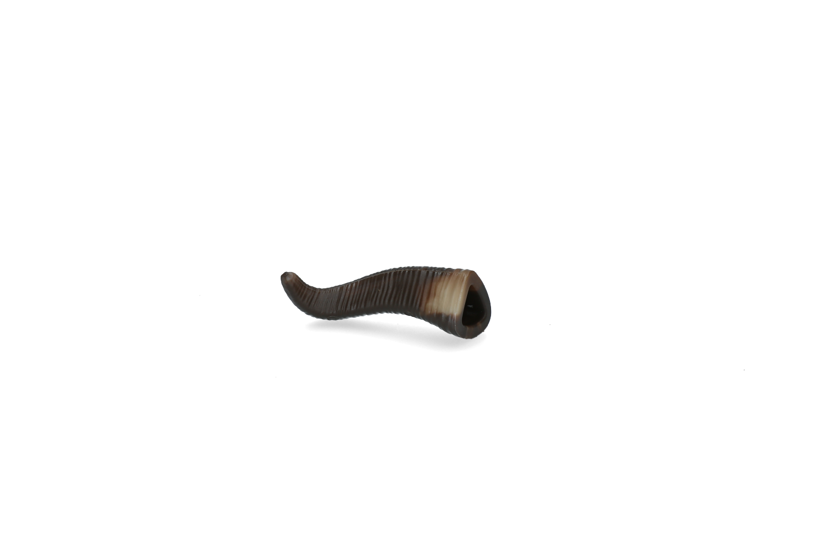 AFP Wild & Nature Goat Horn L - Afbeelding 3