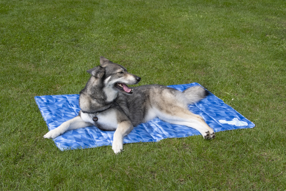 CoolPets Premium Cooling Mat S (40x30cm) - Afbeelding 6