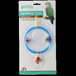 Bird squatting circle