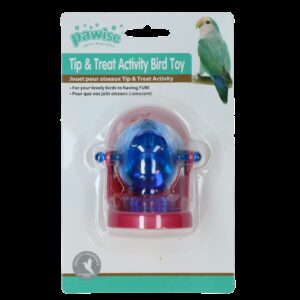 Bird feeding