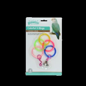 Bird colorful  ring