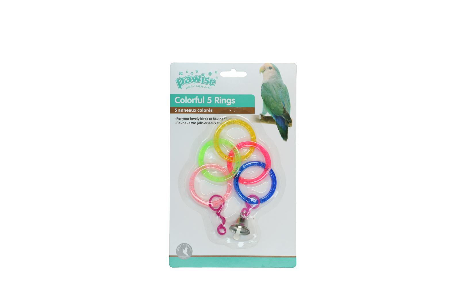 Bird colorful  ring