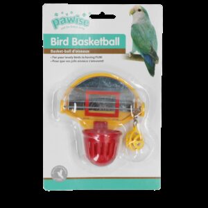Bird Scoot the ball