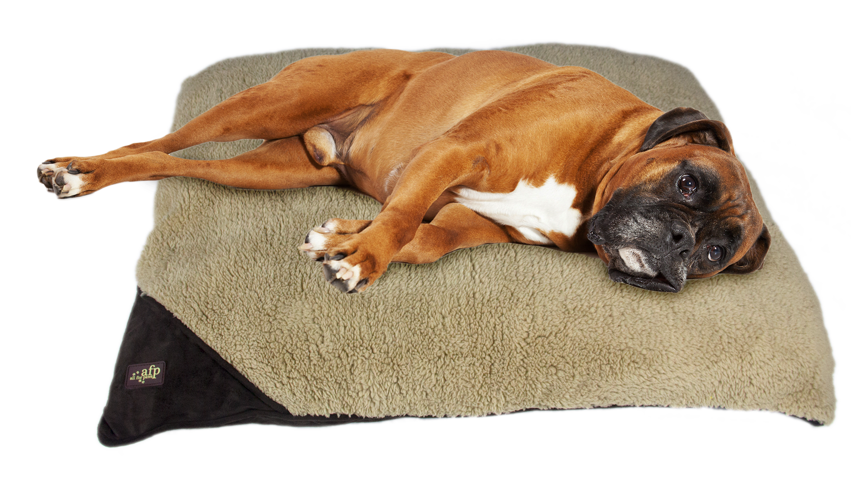 AFP Lambswool-Classic Pillow Bed L (bruin)