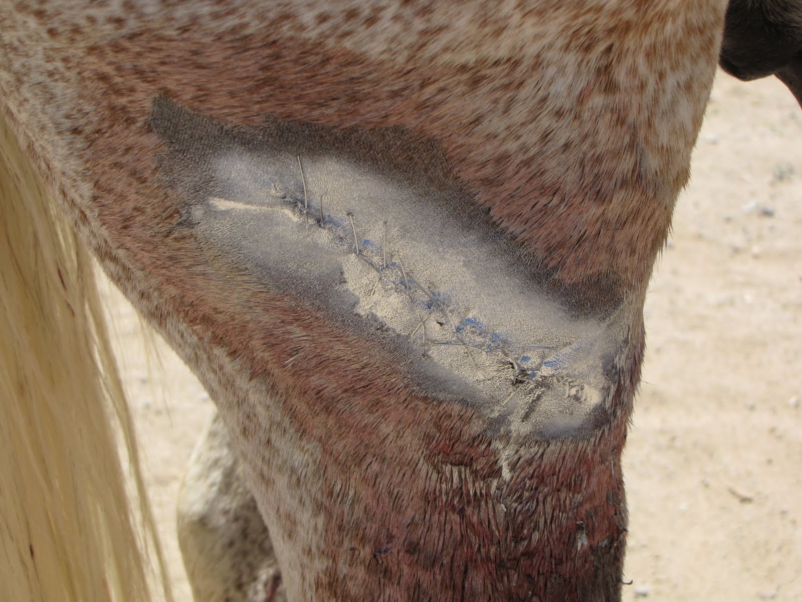 Aluminium Spray - Afbeelding 2
