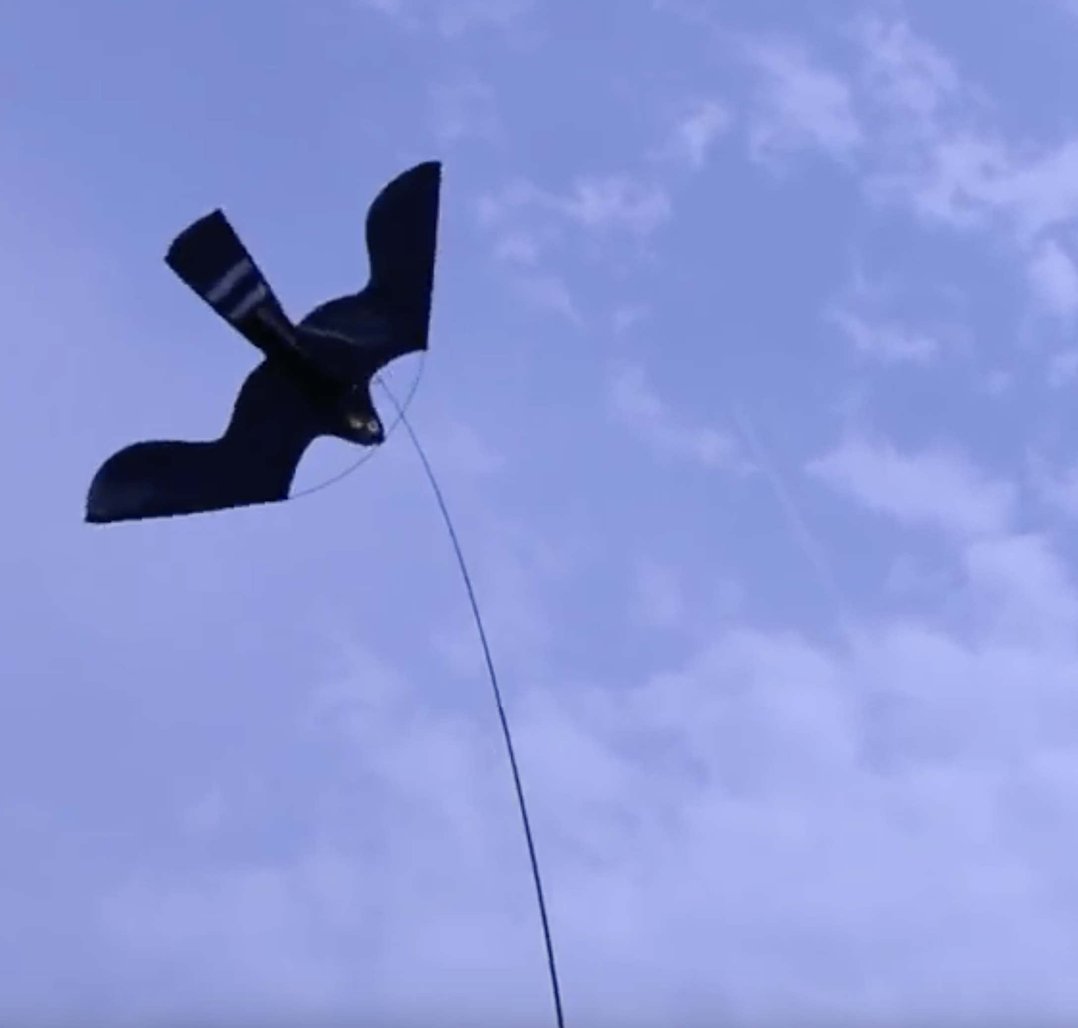 Birdshield 7 meter lang + vogel - Afbeelding 2