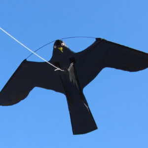 Birdshield 7 meter lang + vogel
