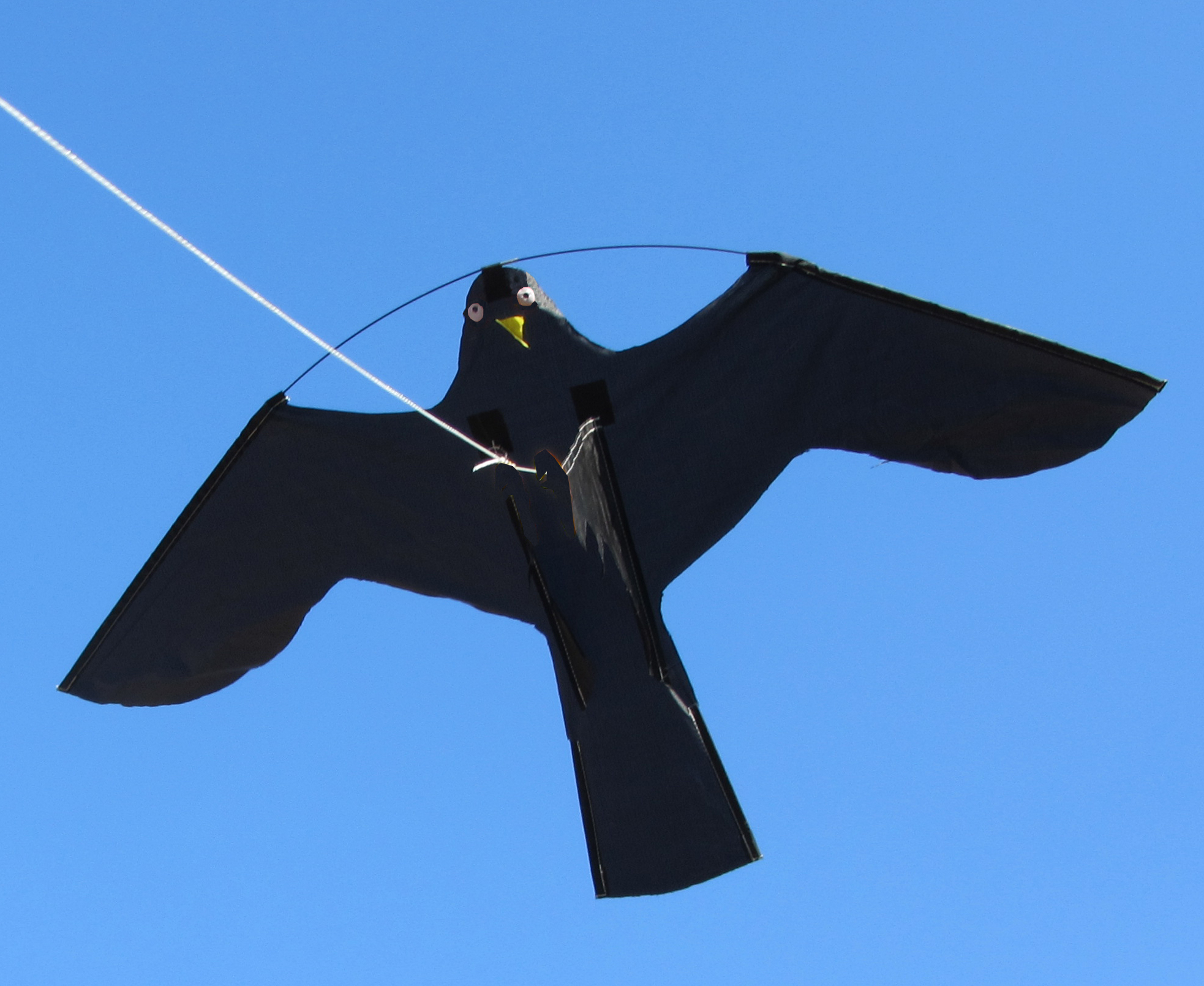 Birdshield 7 meter lang + vogel