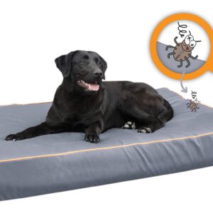 Bodyguard Royal Bed S Grey