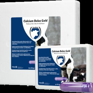 Calcium Bolus Gold