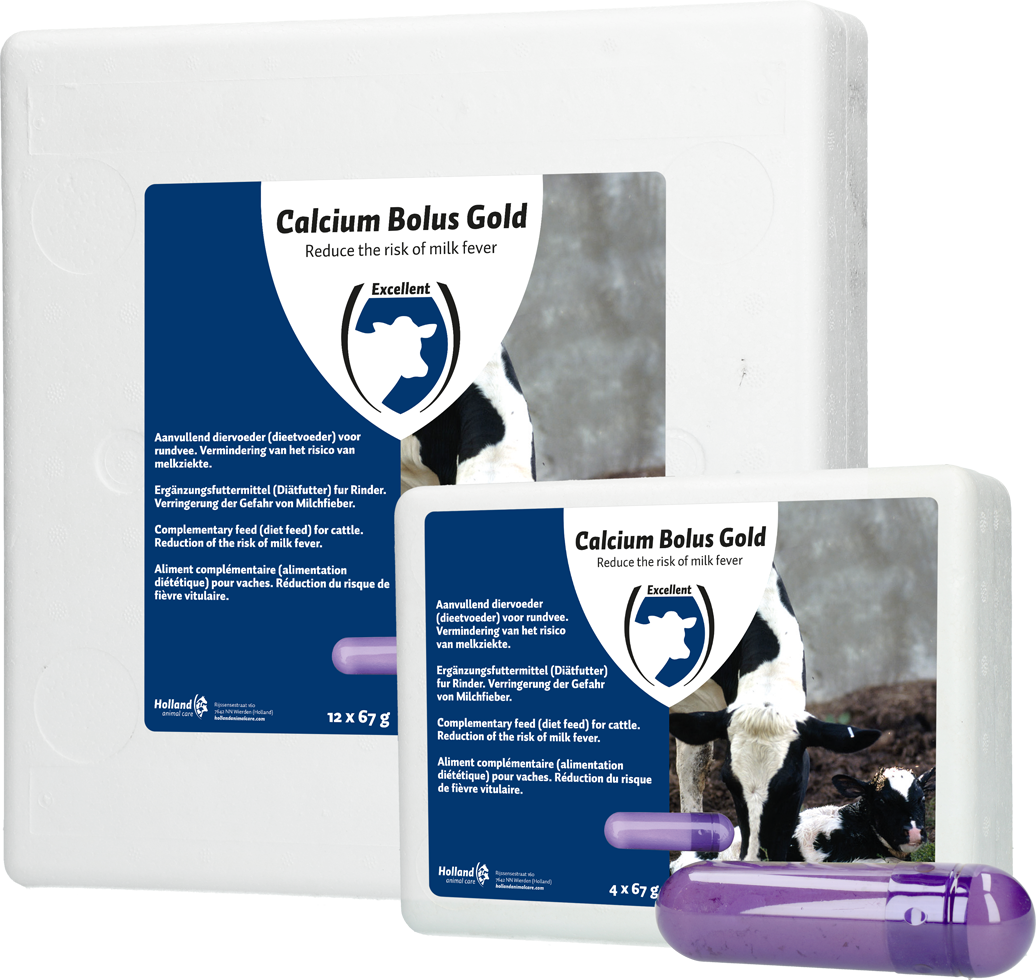 Calcium Bolus Gold