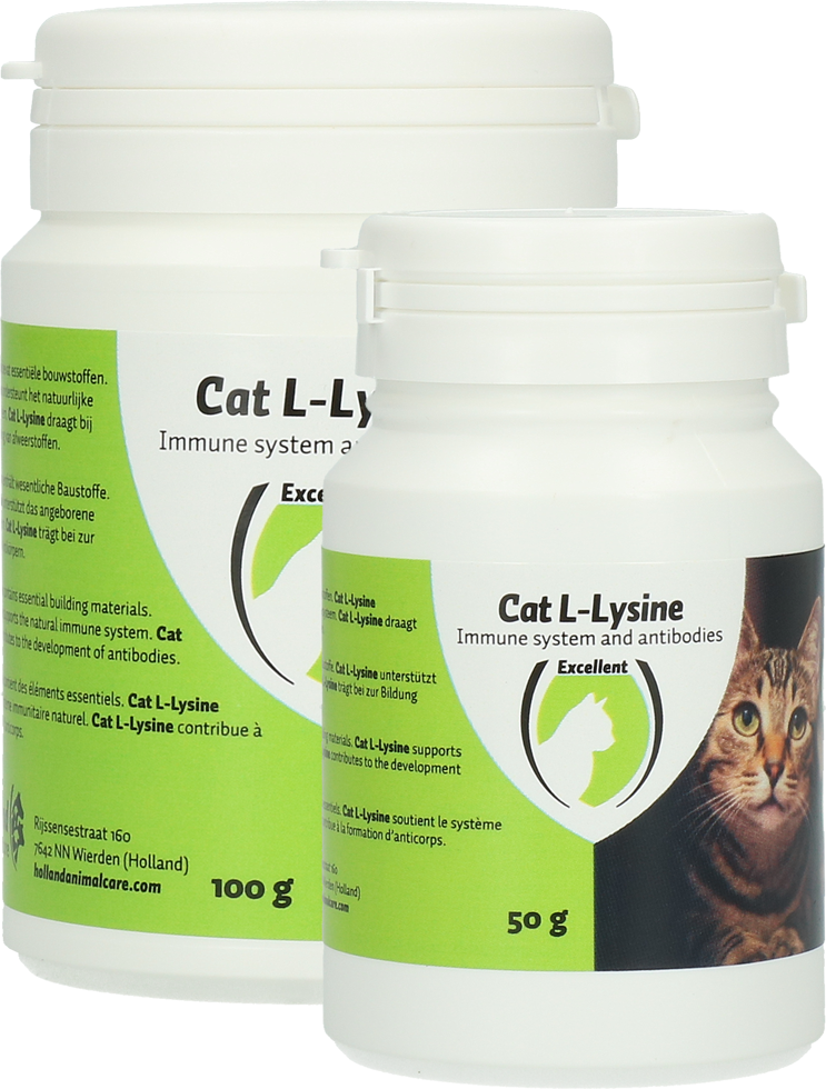 Cat L-Lysine