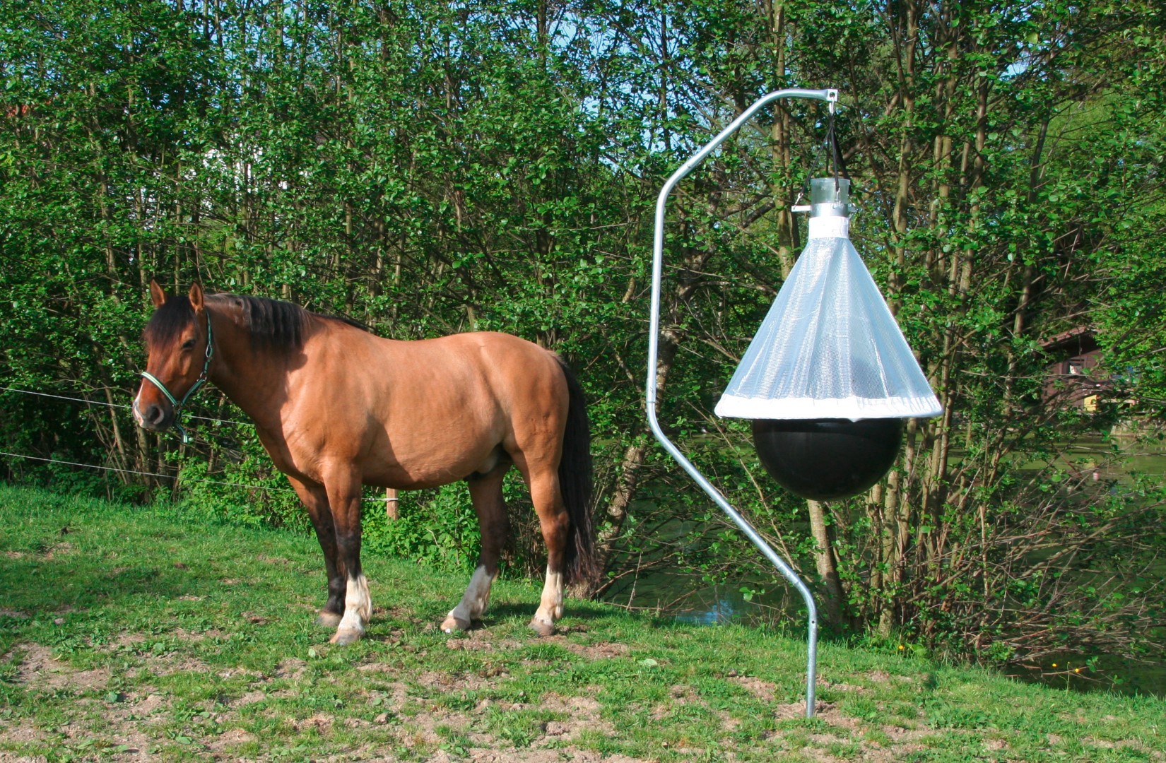 Dazenval TaonX compleet - Afbeelding 5