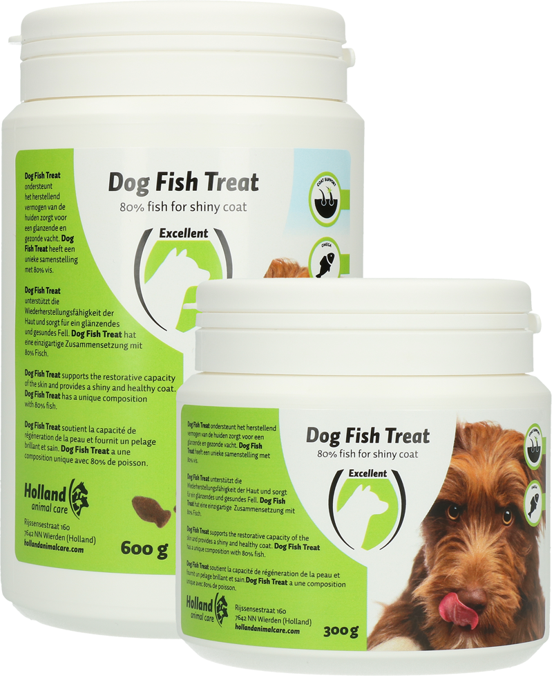Dog Fish Treat