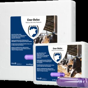 Ener Bolus