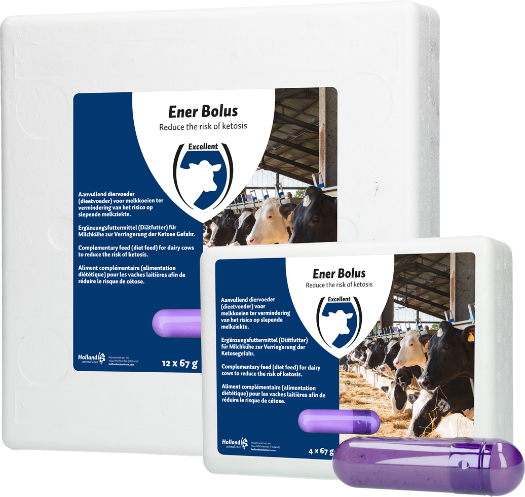 Ener Bolus