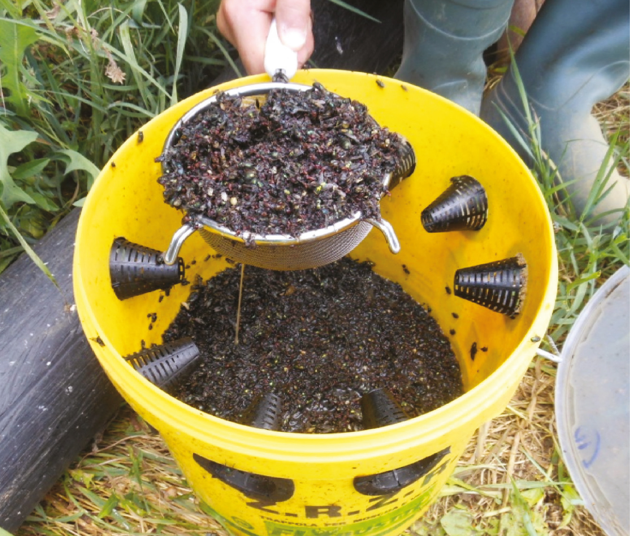 Flybuster Trap 6 l. excl. bait - Afbeelding 2