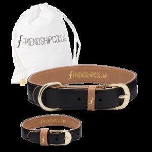 Classic Pup Jet Black XL