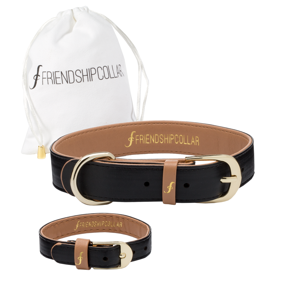 Classic Pup Jet Black XL