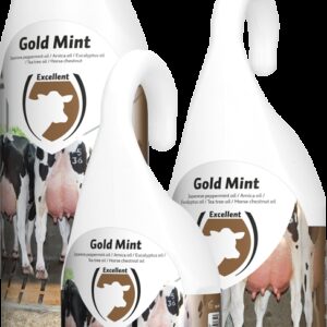 Gold Mint grootverpakking incl. dosator