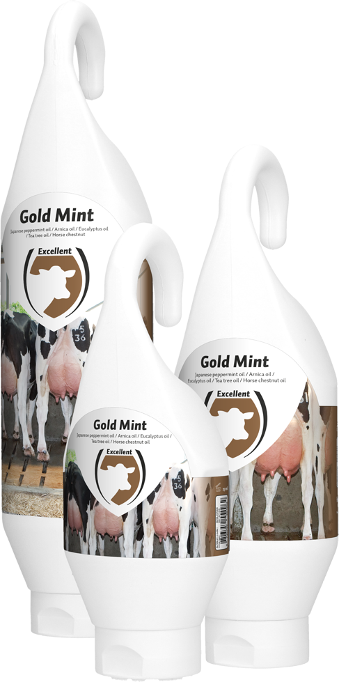 Gold Mint grootverpakking incl. dosator