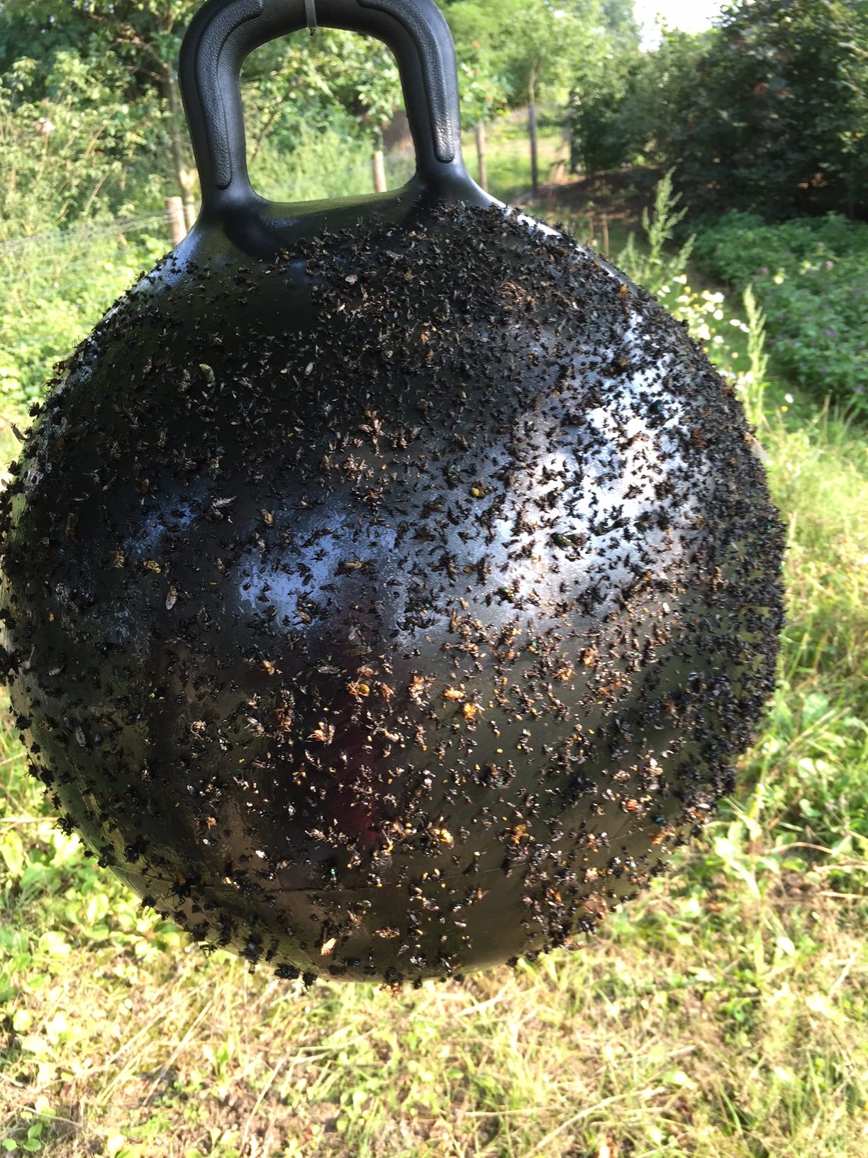 Horse Fly Trap Ball 45 cm - Afbeelding 4