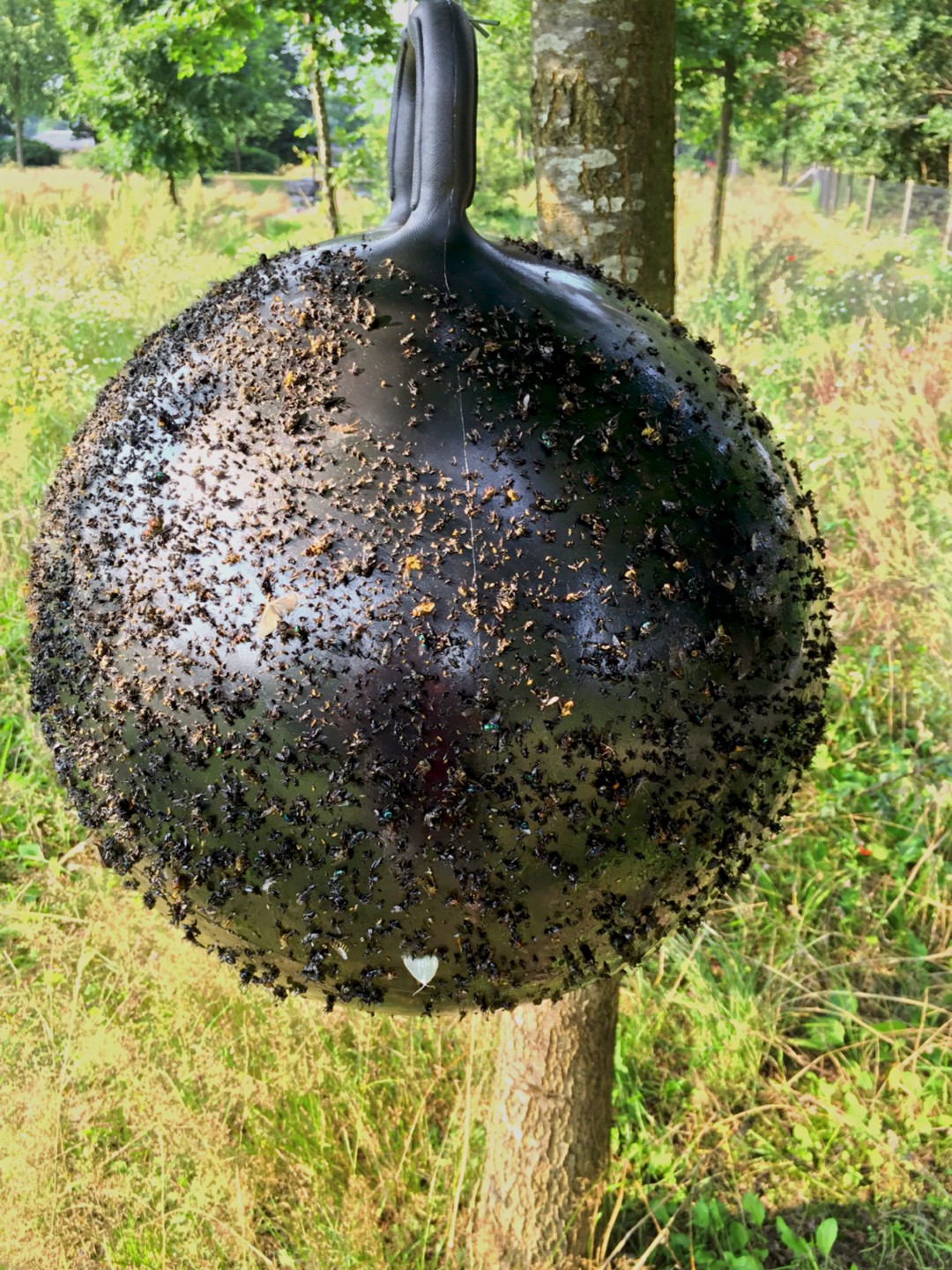 Horse Fly Trap Ball 45 cm - Afbeelding 6