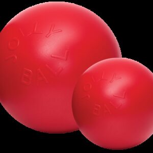 Jolly Ball Push-n-Play 15cm blauw