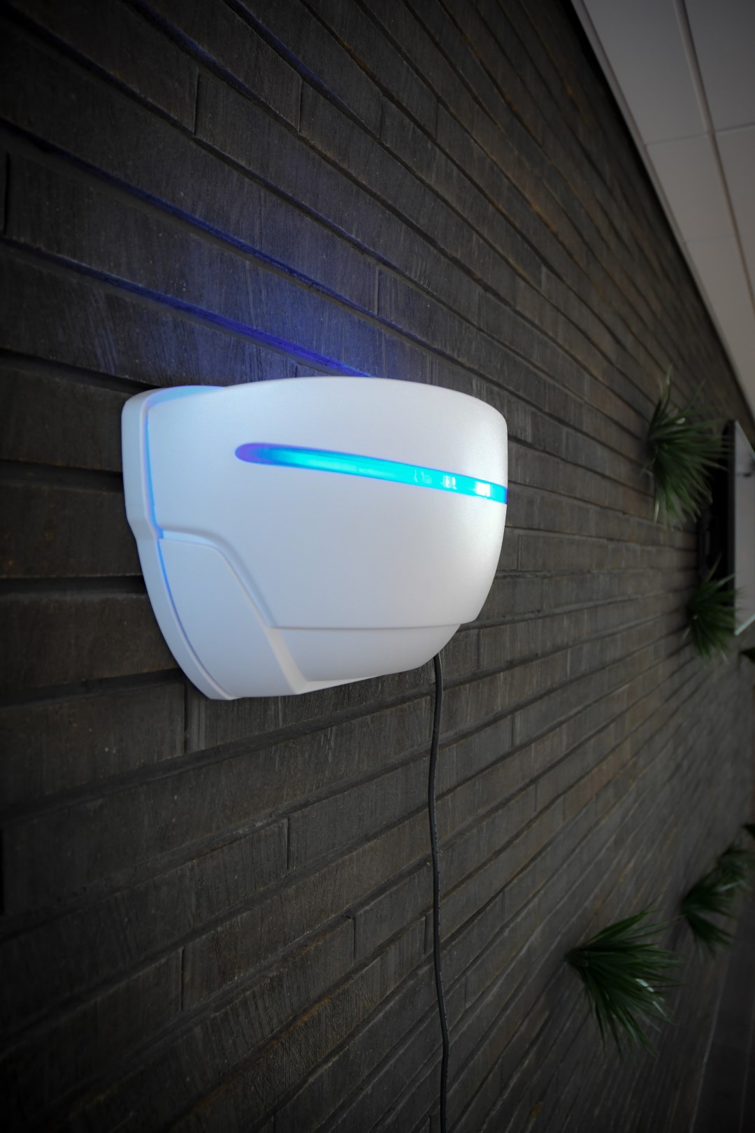 Knock Off InsectKiller UpLight - Afbeelding 6