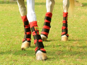 Horse Armor knockdown leg wraps one size (Insect shield) - Afbeelding 2