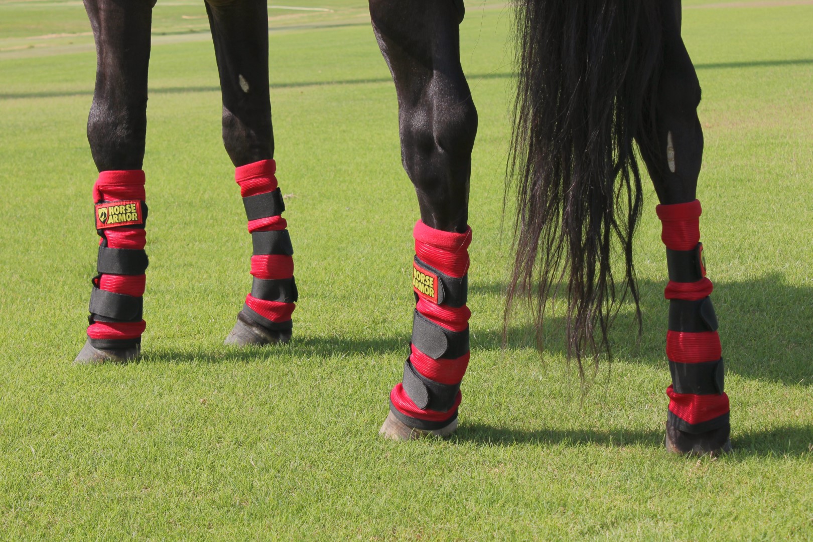 Horse Armor knockdown leg wraps one size (Insect shield) - Afbeelding 5