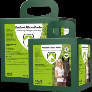 Garlic Allicin Powder EU (Knoflook poeder)