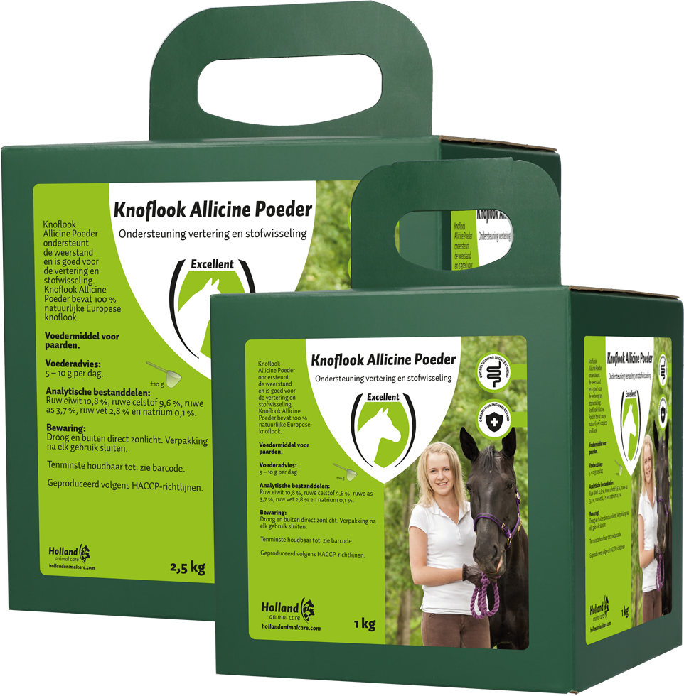 Garlic Allicin Powder EU (Knoflook poeder)