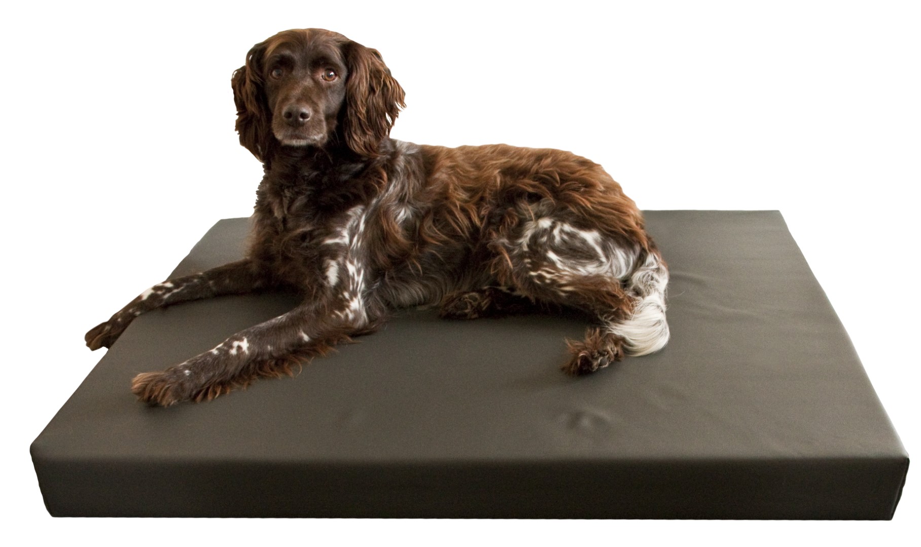 HD Dog Bed M - Afbeelding 2