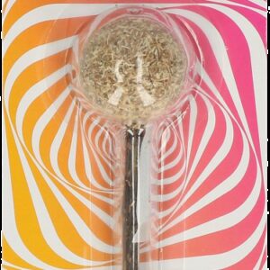 Addicted Lollipop