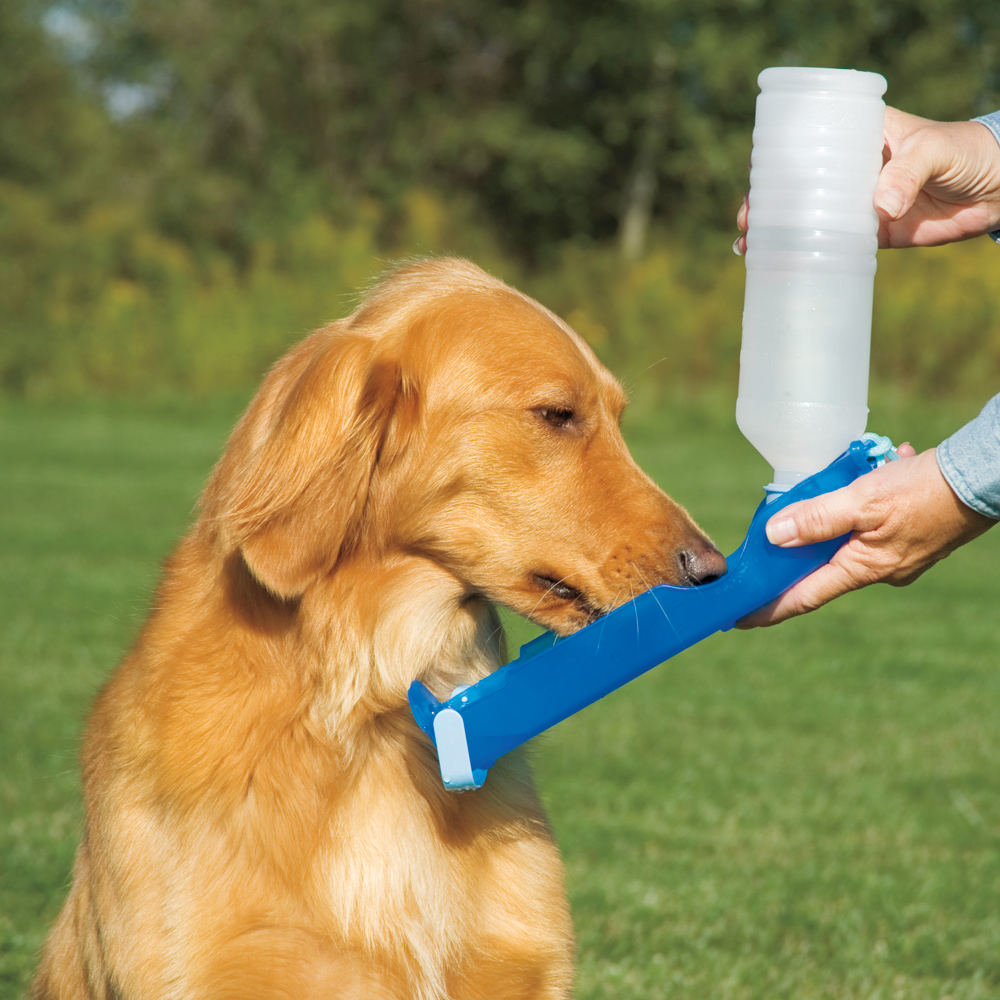 Drinkfles Hond 500 ml - Afbeelding 5