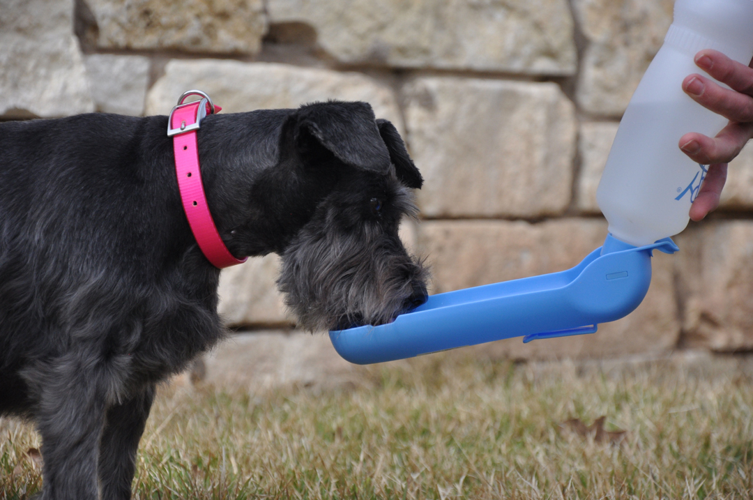 Drinkfles Hond 500 ml - Afbeelding 6