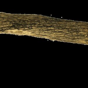 Birrdeeez Natural Sekelbos Perch 50cm